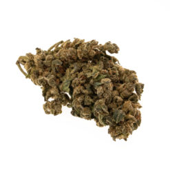 cbd-gras-premium-erdbeerli-bud_web