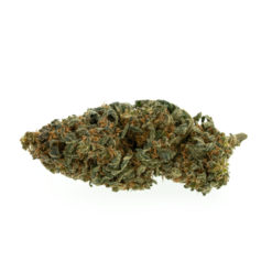 trava-cbd-premium-mango-kush_web