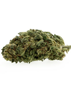 trava-cbd-premium-pinapple-chunk-eu_1_web